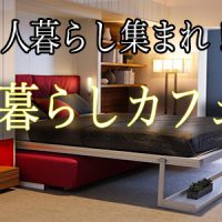 the-bed-pulls-down-to-rest-on-the-couch-and-hanging-shelf-the-couch-pillows-can-then-be-placed-on-the-bed-or-hidden-in-the-couchs-storageのコヒ_ー